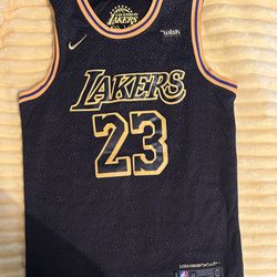 Los Angeles Lakers LeBron James Jersey 