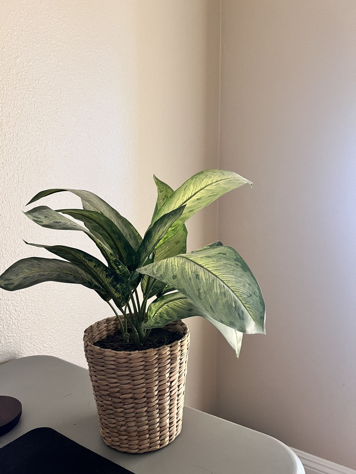 Beautiful Fake Plant