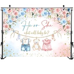 Gender Reveal Backdrop 