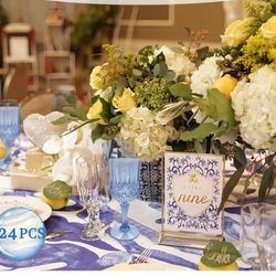 Plastic Wine Glasses，Plastic Goblets Vintage Style Cordial Drinking Glasses for Wedding Reception, Grand Event Party Supplies (24, Blue)