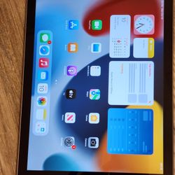 Apple Ipad 6th Gen 128gb