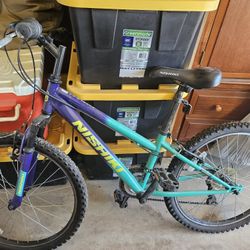 Nishiki Girls Bike 