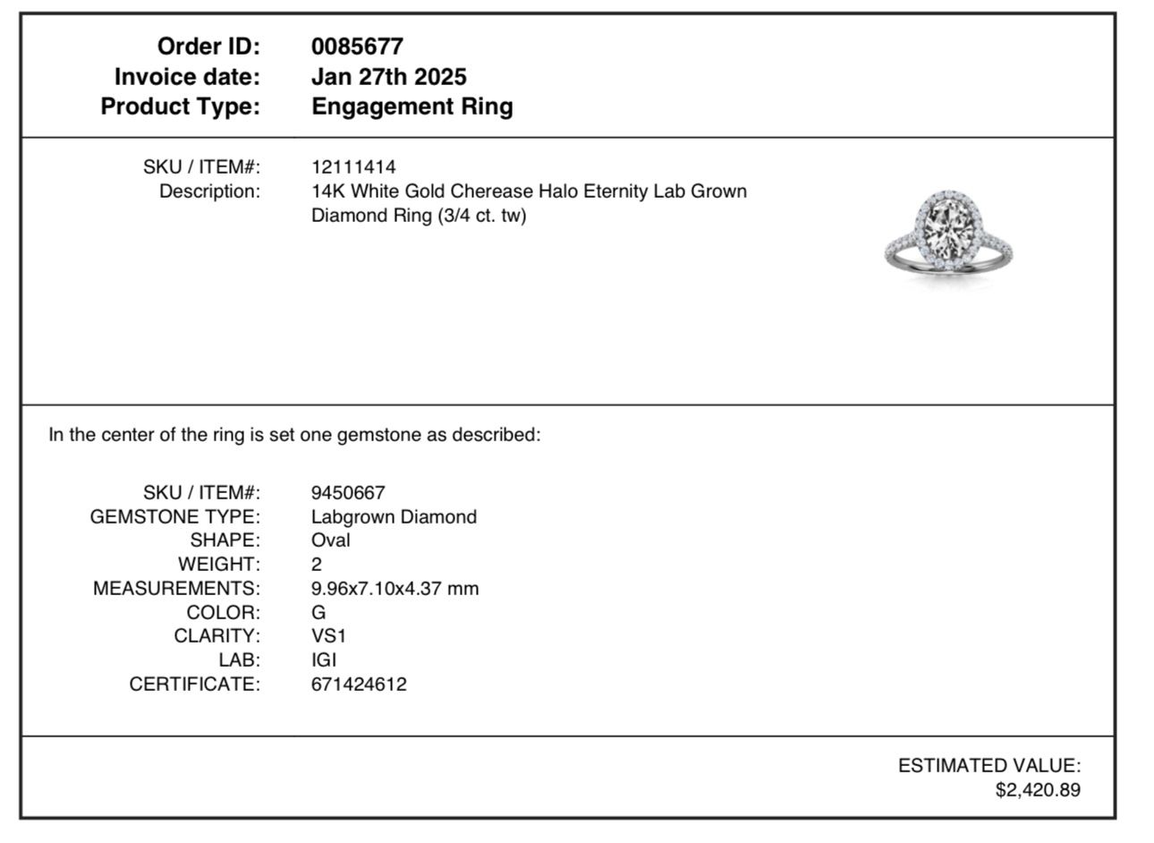 14K White Gold Cherease Halo Eternity Lab Grown Diamond Ring (3/4 ct. tw)