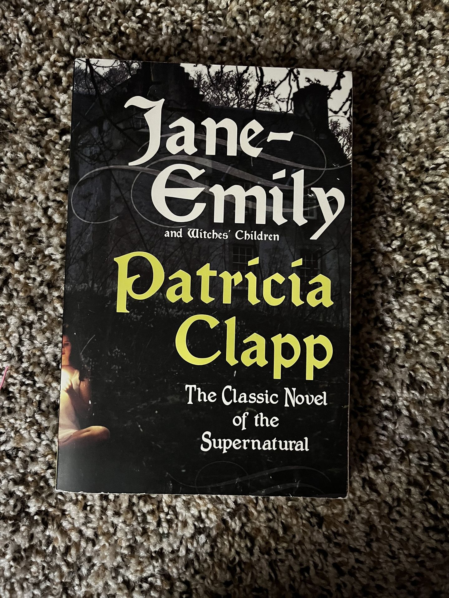 Jane-Emily Patricia Clapp Book