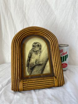 Owl Picture 