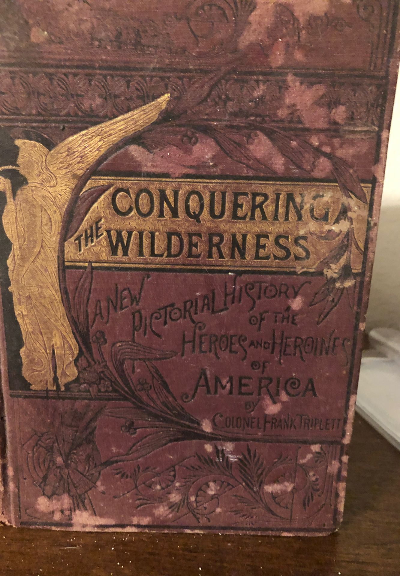 1888 Conquering the wilderness by Colonel Frank Triplett