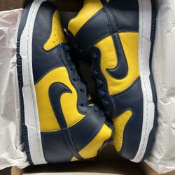 Brand New/ DS Nike Dunk High Michigan Size 11.5