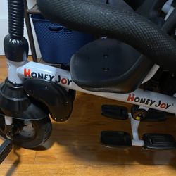 Honey Joy 2 seat bike