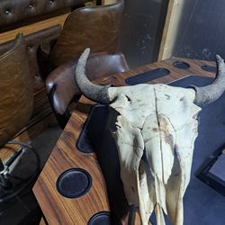 STEER ANIMAL SKULL