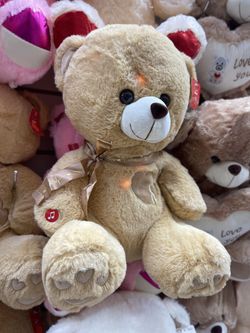 Teddy Bear Brown Big