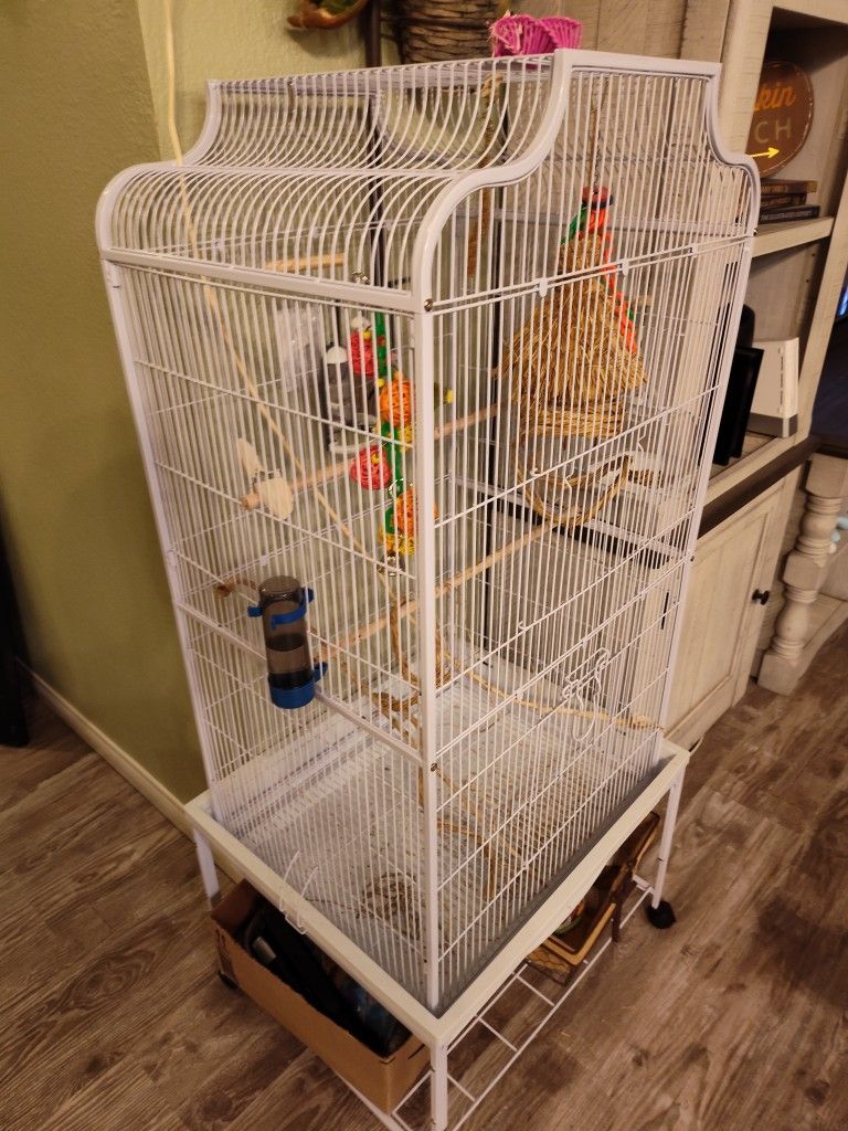 Bird Cage With Everything Included