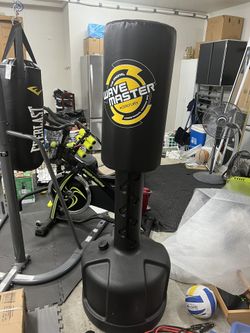  Punching/kicking Bag 