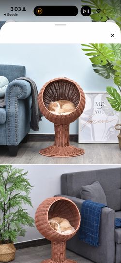 Cat bed wicker