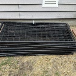 Dog Pen