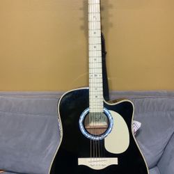 Guitar 100$$ Works Great 