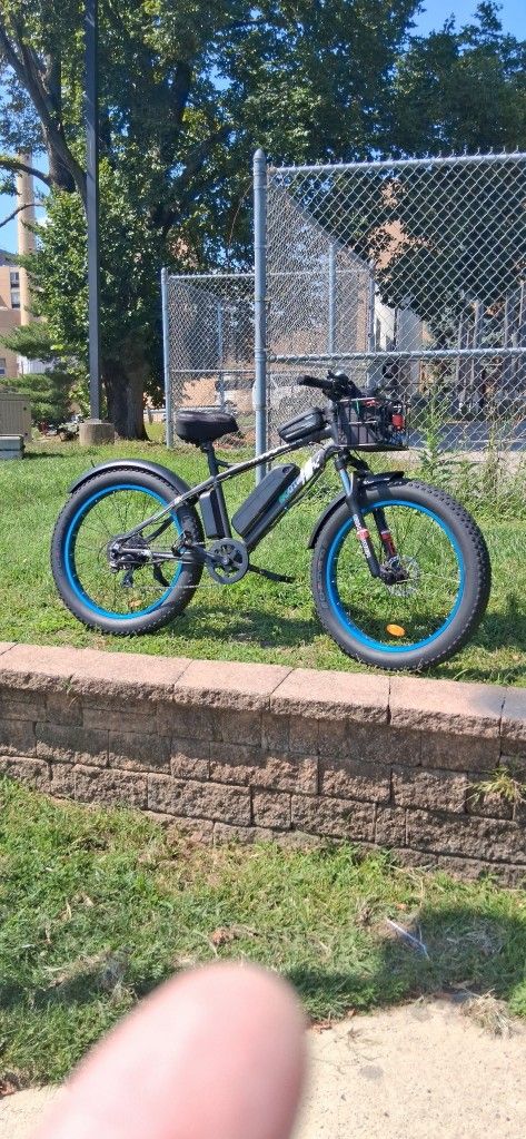 Ecotric Fat Tire Electric Bike