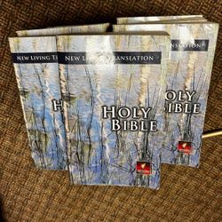 Bibles 17