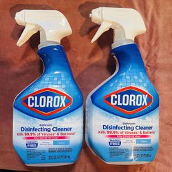 Clorox Disinfecting Cleaner Spray