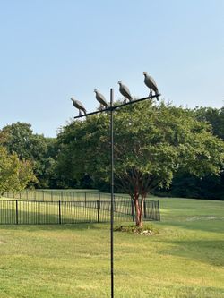 Mojo “Quick Set” Dove Tree with 4 Mojo Static Dove Decoys.