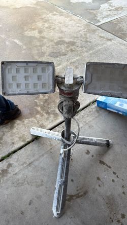 Husky Lamp