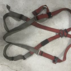 Harness And Lanyard 
