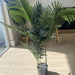 Fake Plant 