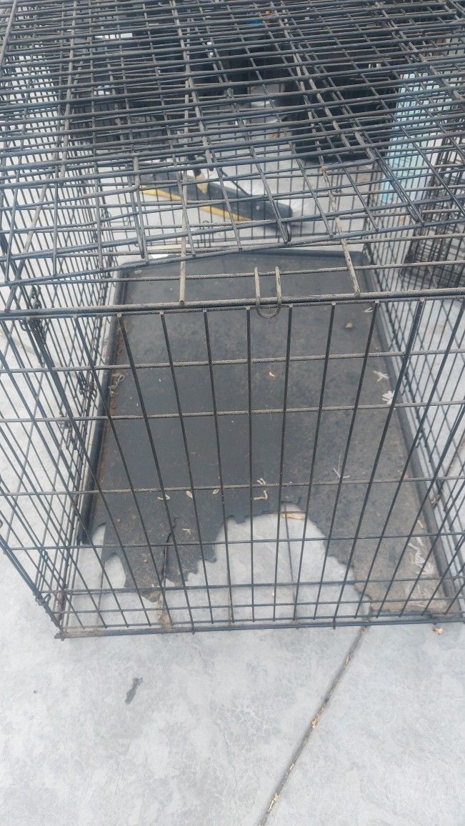 2 Metal Dog Crates 42×36 $40 Each