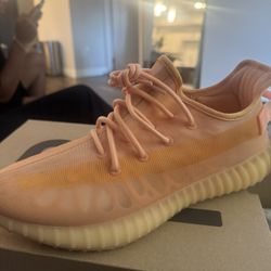 Yeezy 350 v2
