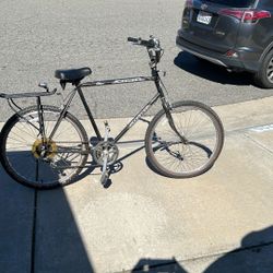 Schwinn Cruiser Deluxe