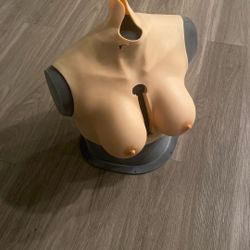 Female Torso Mannequin / Bra Fitting Form – Hybrid 3D Print + Soft Cups
