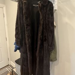 Mink Coat 