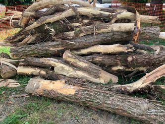 Firewood. Locust