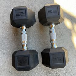 25 lb Dumbbells 