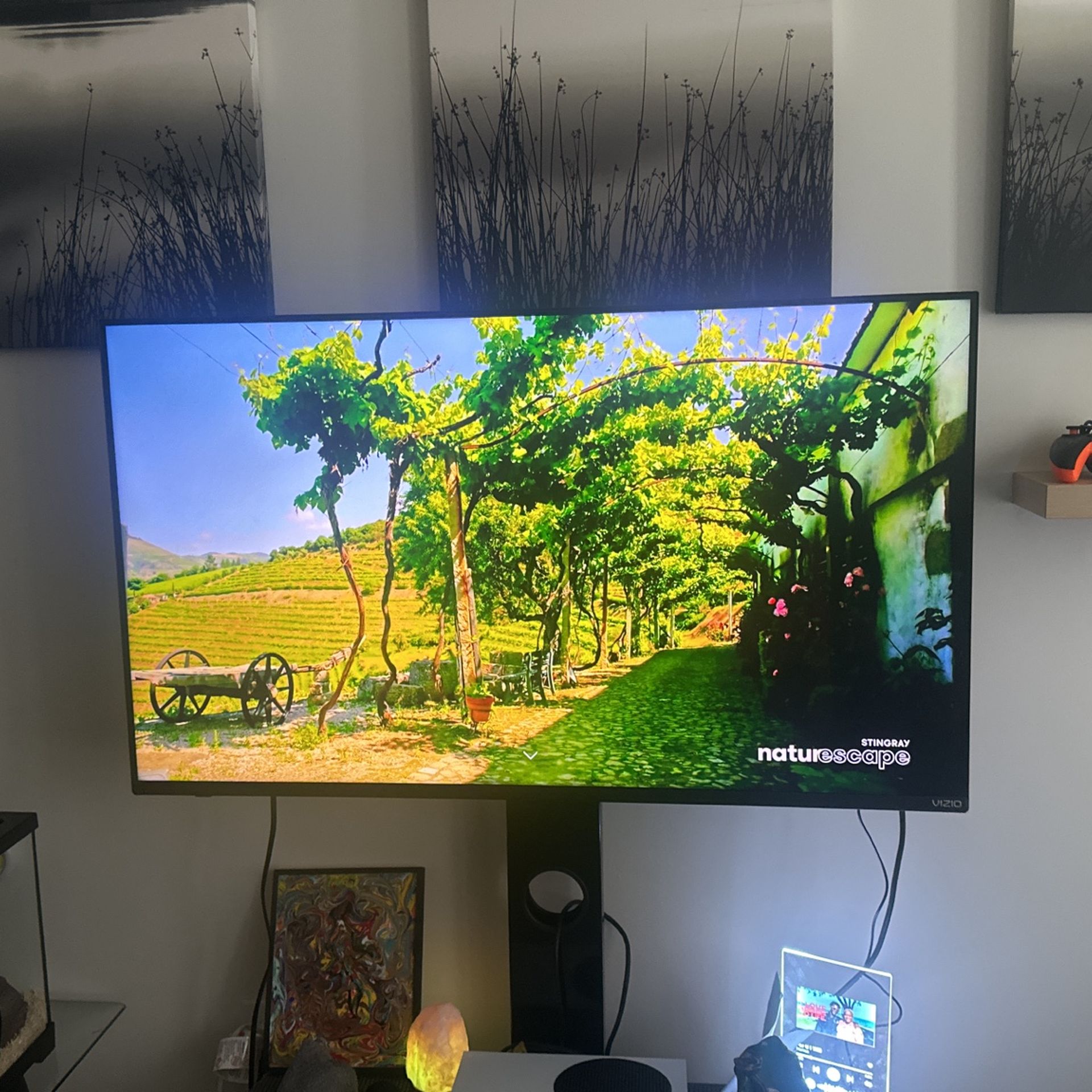 TV