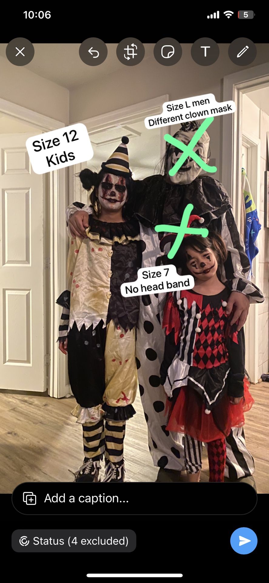 Clown Costumes