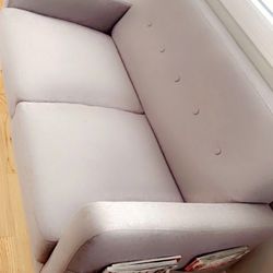 Couch/Loveseat/Sofa 