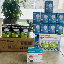 Assorted Lightbulbs- New In Box