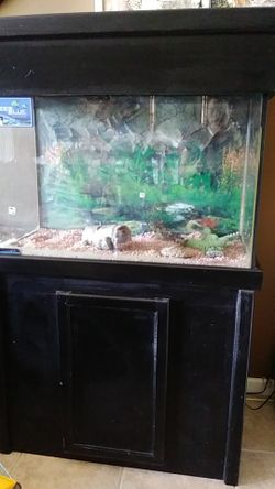 65 Gallon Fish Tank