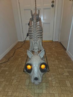 5ft LED Skelly Animated Cat
