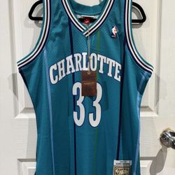 Charlotte Hornets 1992-93 Player Jersey