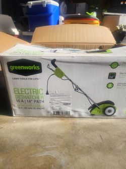Greenworks 10-Amp 14-Inch Corded Electric Dethatcher