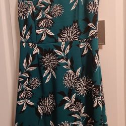 Julia Jordan Woman's Dress