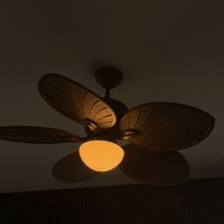 Leaf Style Fan 