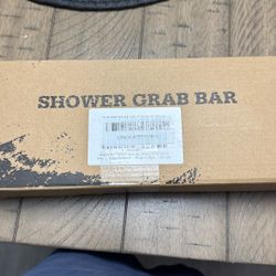 Shower grab bar