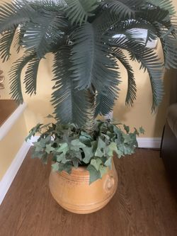 Very Nice Fern In Ceramic Pot