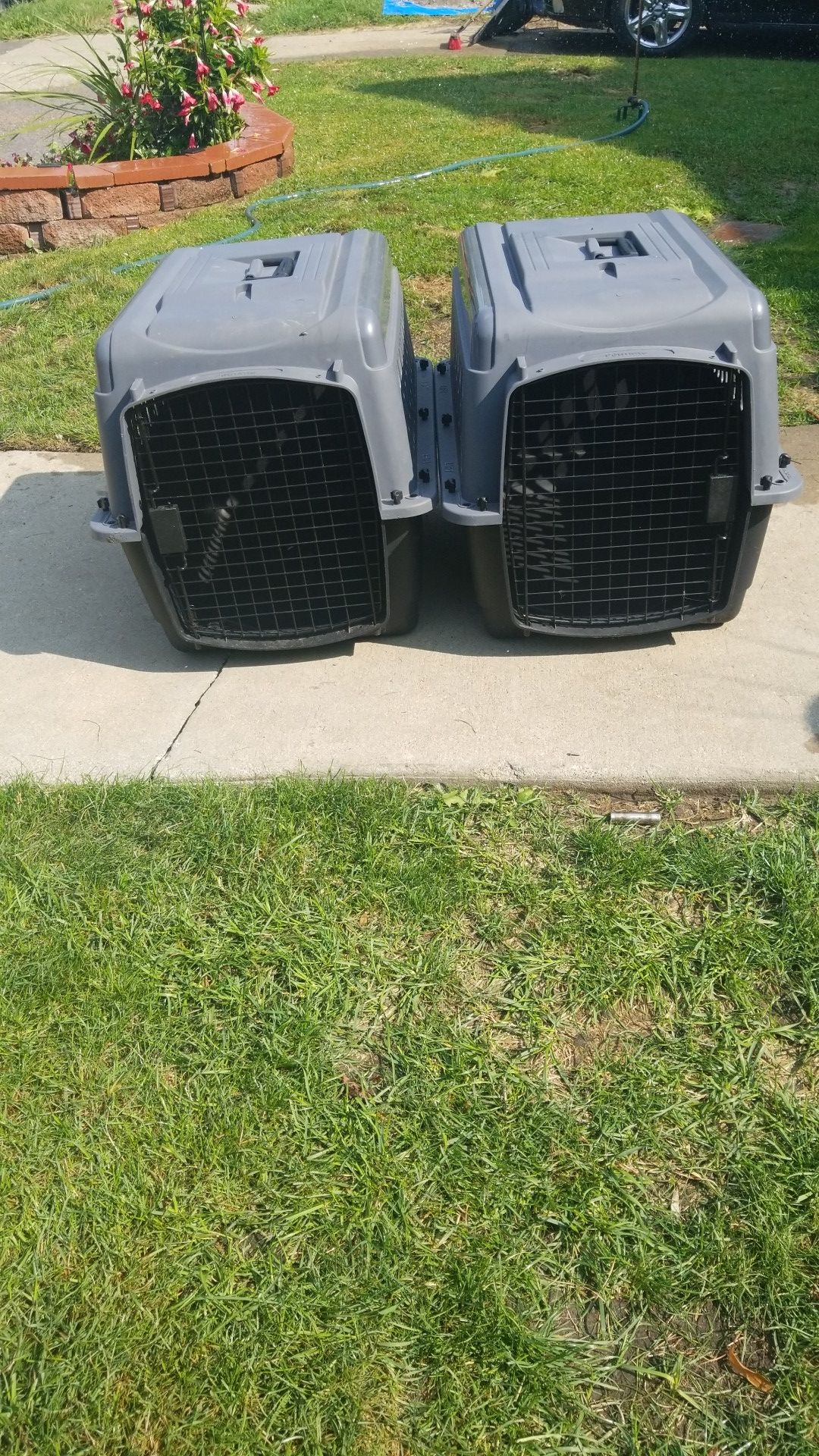 Portable Crate for Puppy/Dog