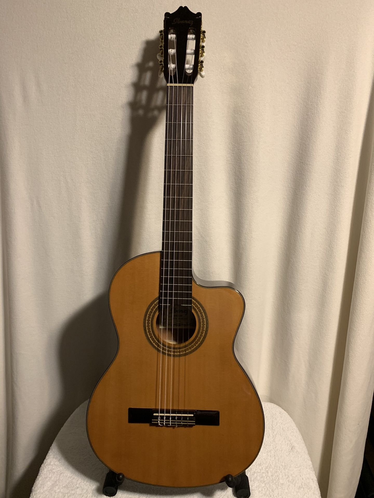 Ibanez classical acoustic guitar with gig bag