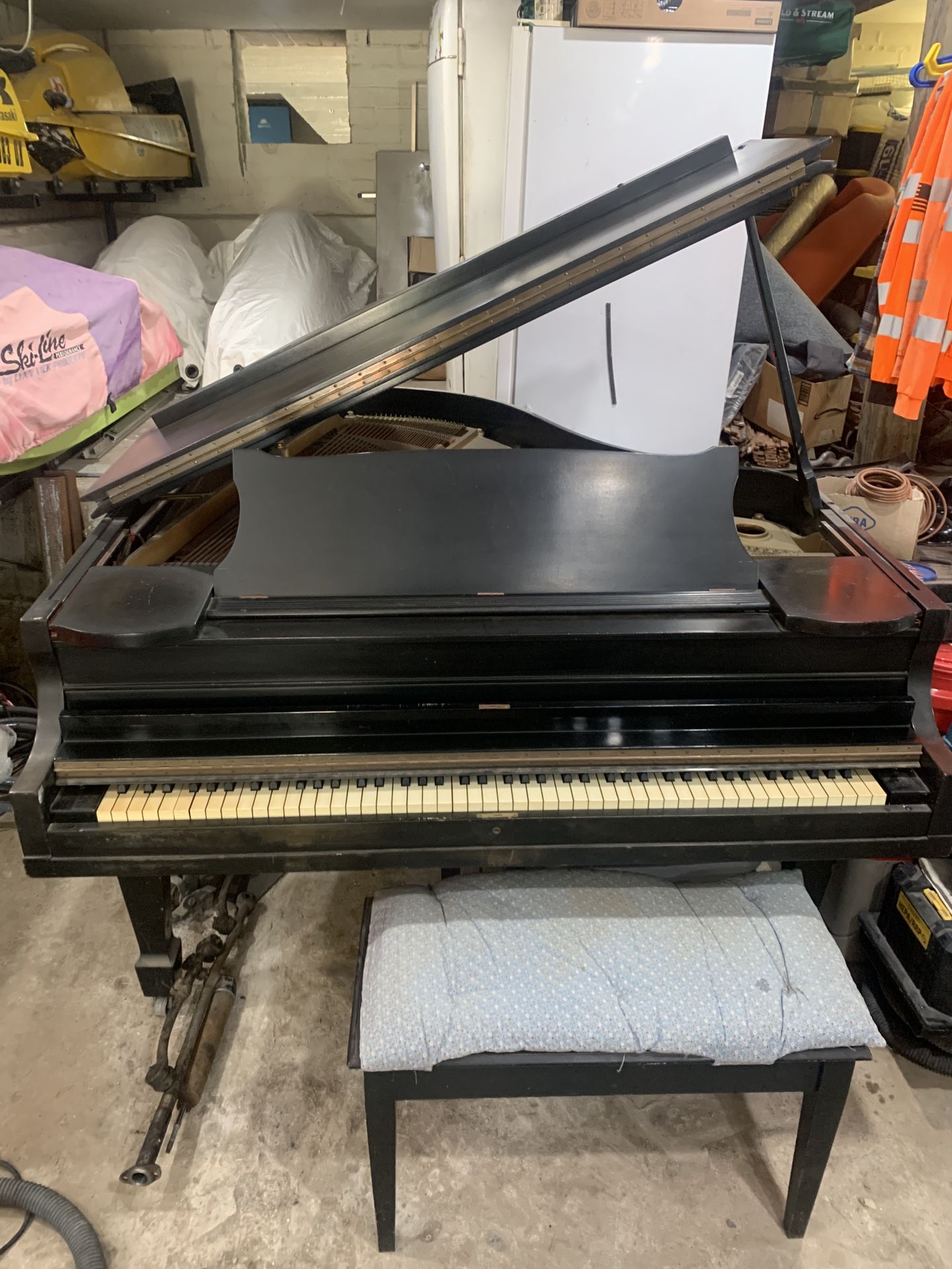 Baby Grand