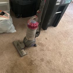 Animal 2 Dyson Vacuum