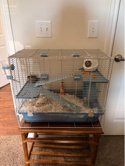 Gerbil Cage